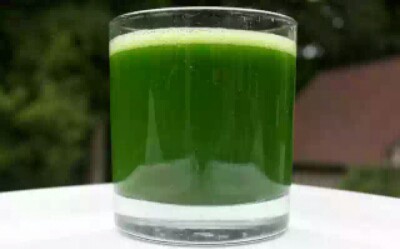 bitter leaf juice